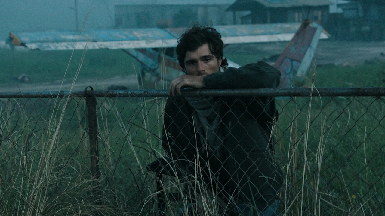 The Dog Stars Box Office