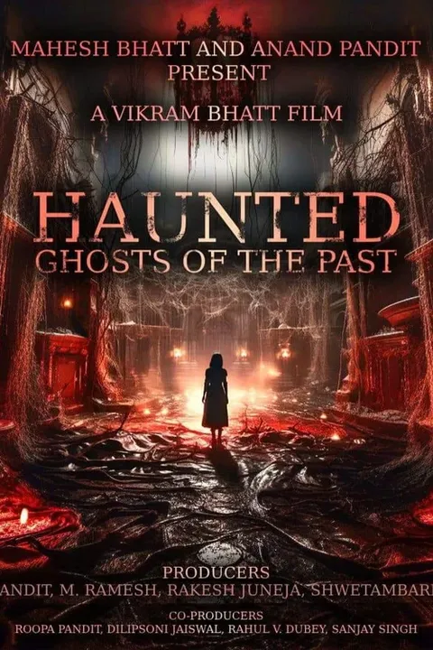 Haunted 3D: Echoes of the Past Poster 1