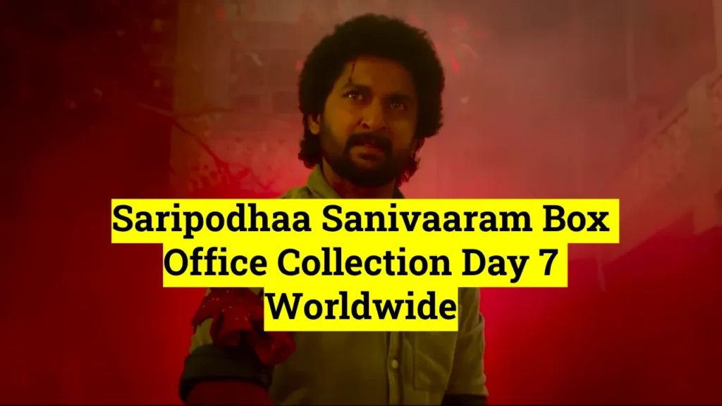 Saripodhaa Sanivaaram Box Office Collection Day 7 Worldwide